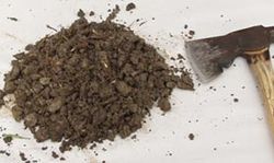 Hatchet and soil sample