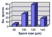 Size distribution graph normal distribution