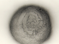 Grey sphere with spiral on surface