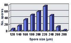 Size distribution graph left skew