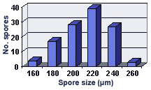 graph of size distribution mostly normal