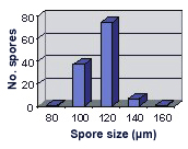 Size distribution graph most at 100 and 120