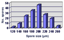 Size distribution graph approximately normal 