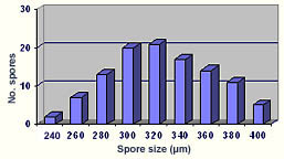 Size distribution graph roughly normal