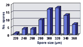 Size distribution graph longer left tail
