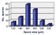 Graph of size distribution approximately normal