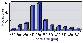 Graph showing size distribution of Acaulospora capsicula